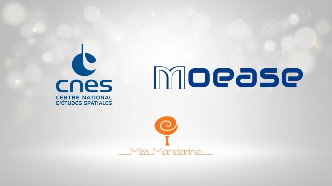 actu missmandarine